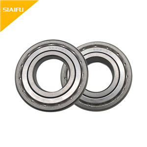 食品級不鏽鋼黄瓜视频污下载 6020-2RS